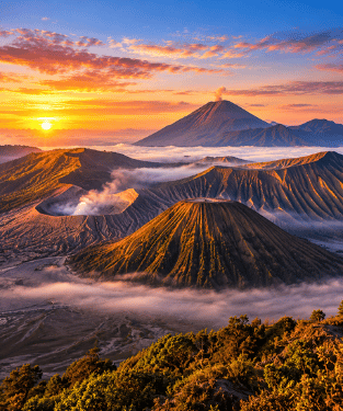 Bromo